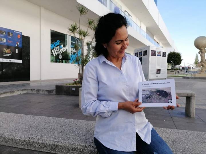 Julia Iparraguirre de la asociación civil "Patitas sin rumbo".
