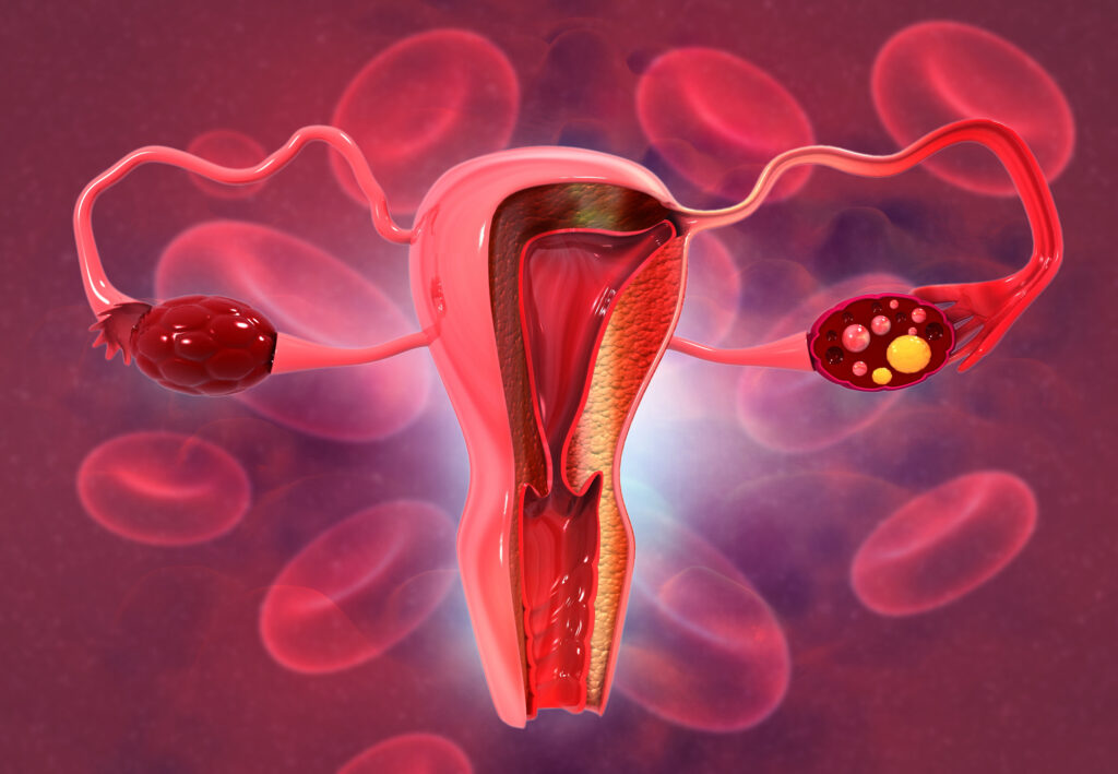 Mujeres deben conocer proceso de ciclo menstrual para prevenir ...